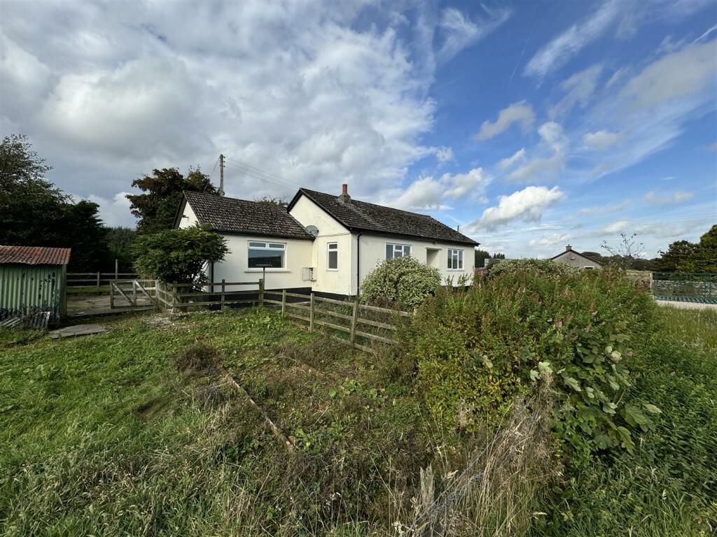 Additional image 20 of Shap