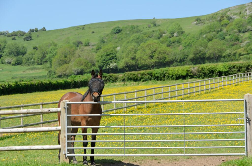 Additional image 9 of Axbridge SOMERSET