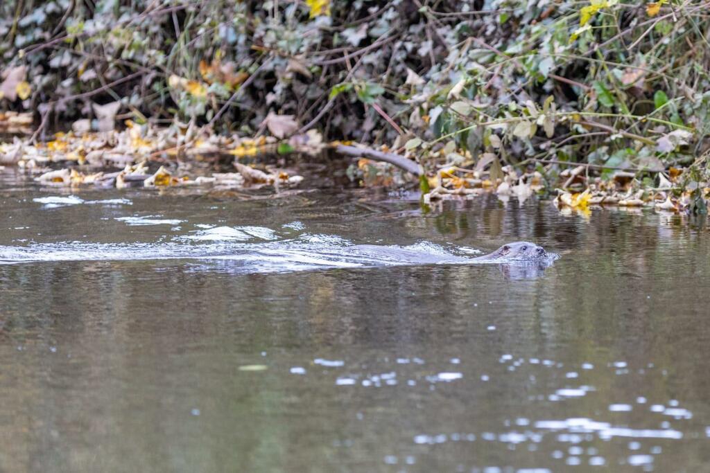 Additional image 33 of Boroughgate, Appleby-In-Westmorland