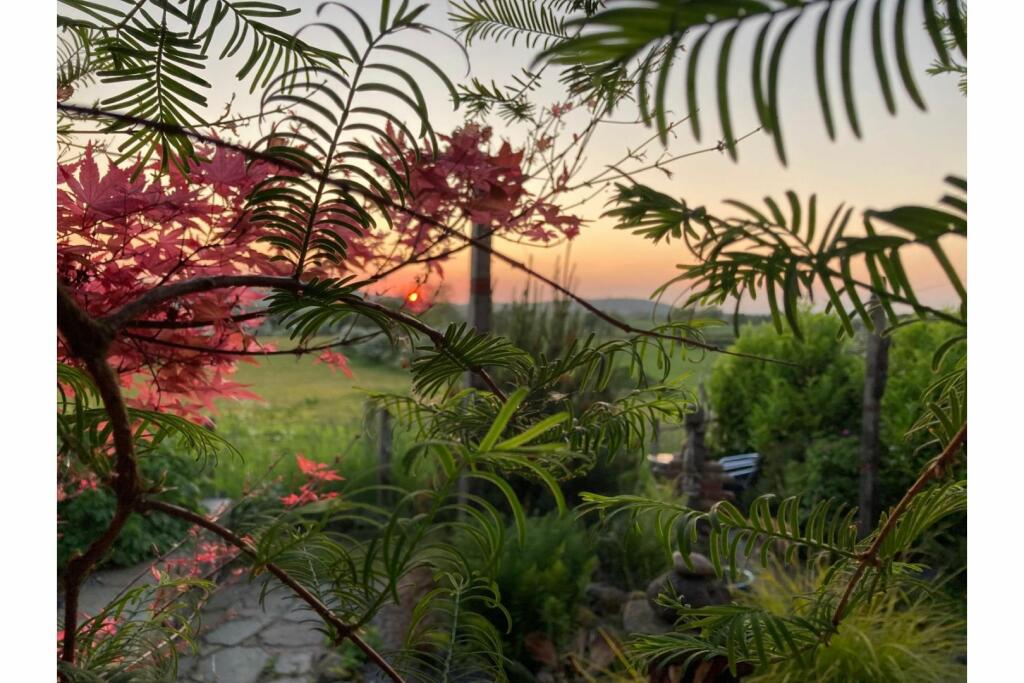 Additional image 21 of Lamplugh, Nr National Park, CA14