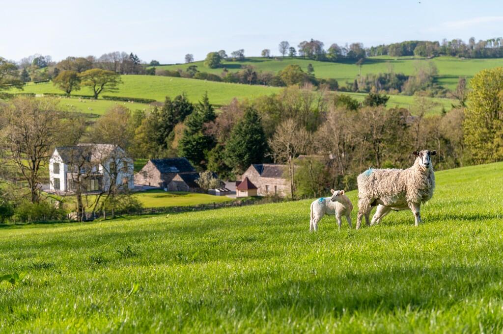 Additional image 42 of Bluebell House and Greaves, Dacre, CA11