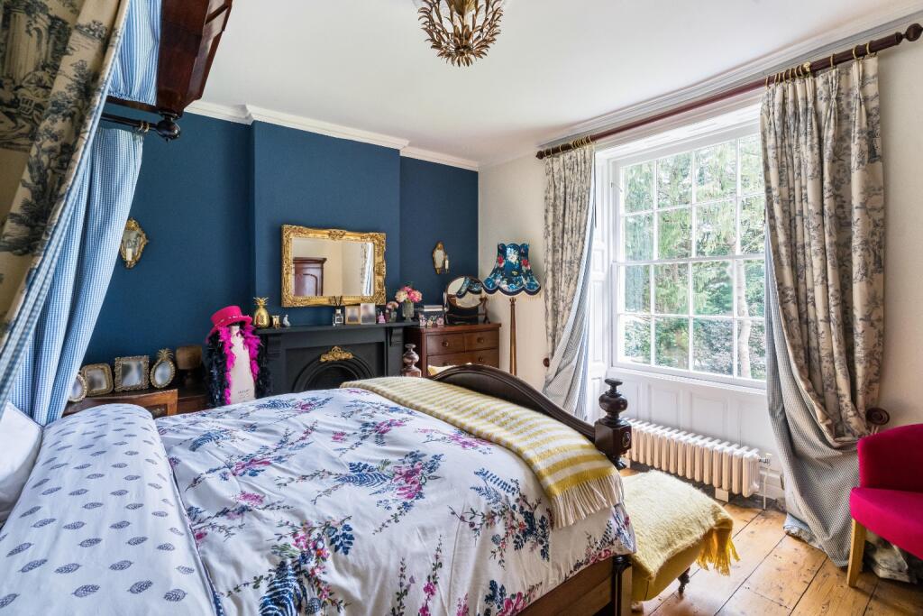 Additional image 11 of CHEDDAR