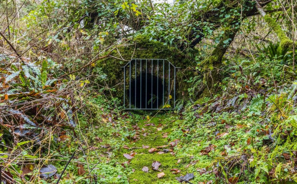 Additional image 11 of Coombe Lane , East Harptree, BS40