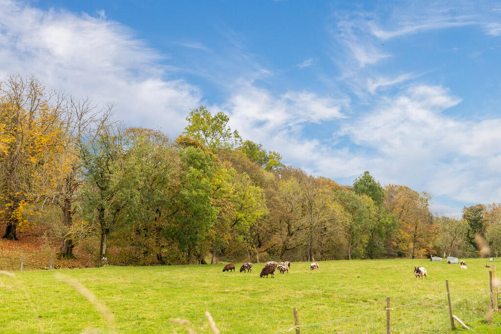 Additional image 25 of 16 Stoneworks Garth, Crosby Ravensworth, Penrith, Cumbria, CA10 3JE