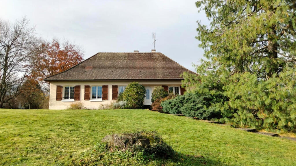 Primary image of Limousin, Haute-Vienne, Nouic, France