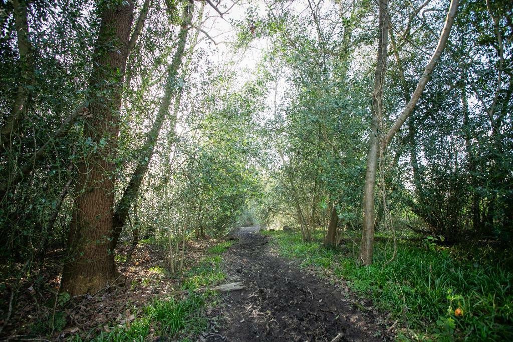 Additional image 19 of Muddles Green, Chiddingly, East Sussex, BN8 6HN