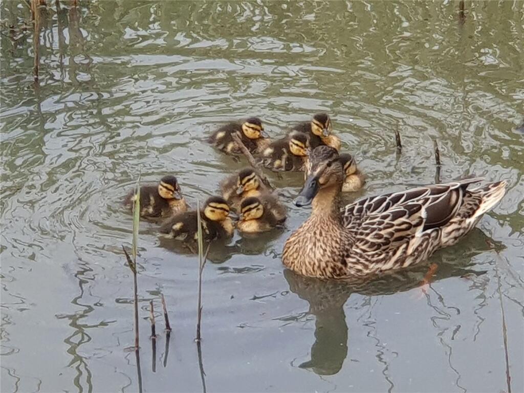 Additional image 22 of Valley Road, Newhaven, East Sussex, BN9