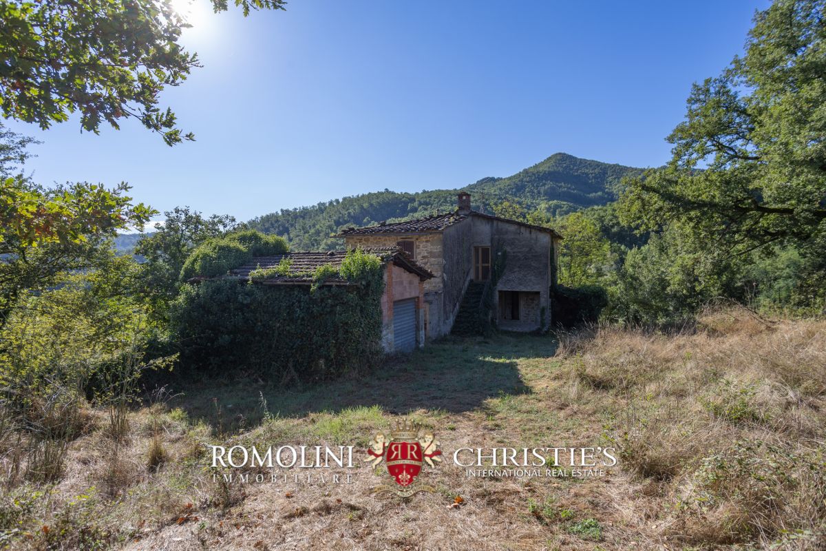 Additional image 3 of Talla, Arezzo, Tuscany