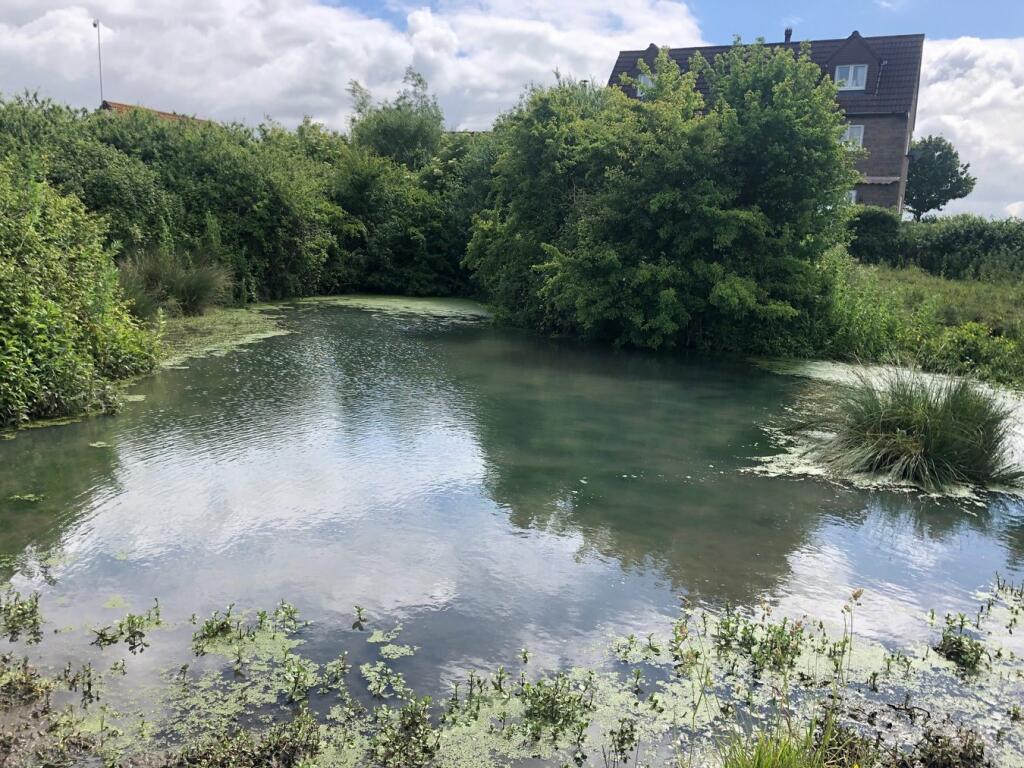 Primary image of Westerleigh Hill, Westerleigh, Bristol, BS37