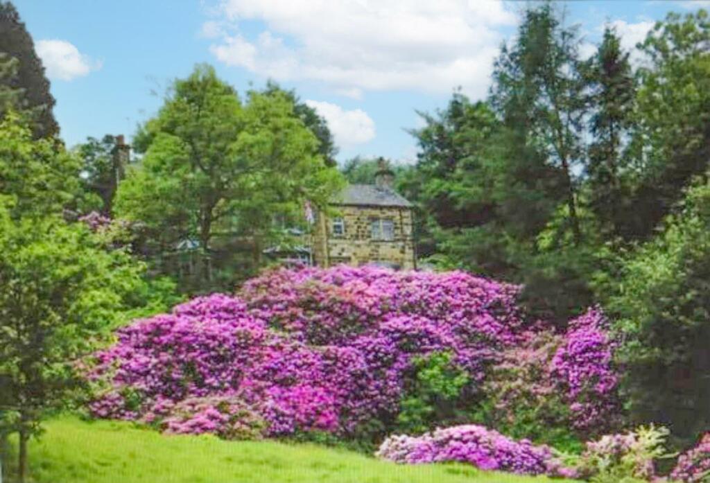 Additional image 40 of Fernbank House and Cottage, Moor Lane, Eastburn