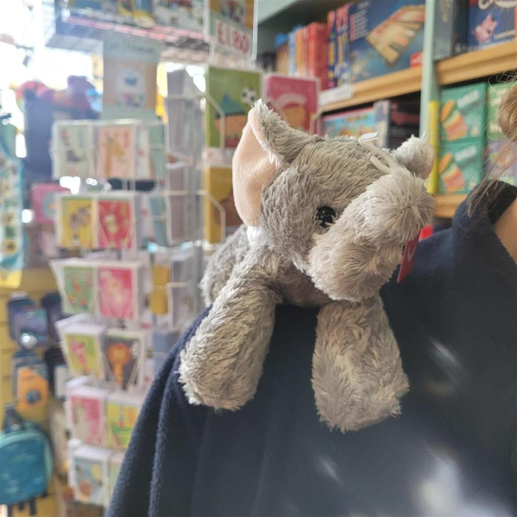 Additional image 17 of AN INDEPENDENT TOY AND GIFT RETAILER, Bromley