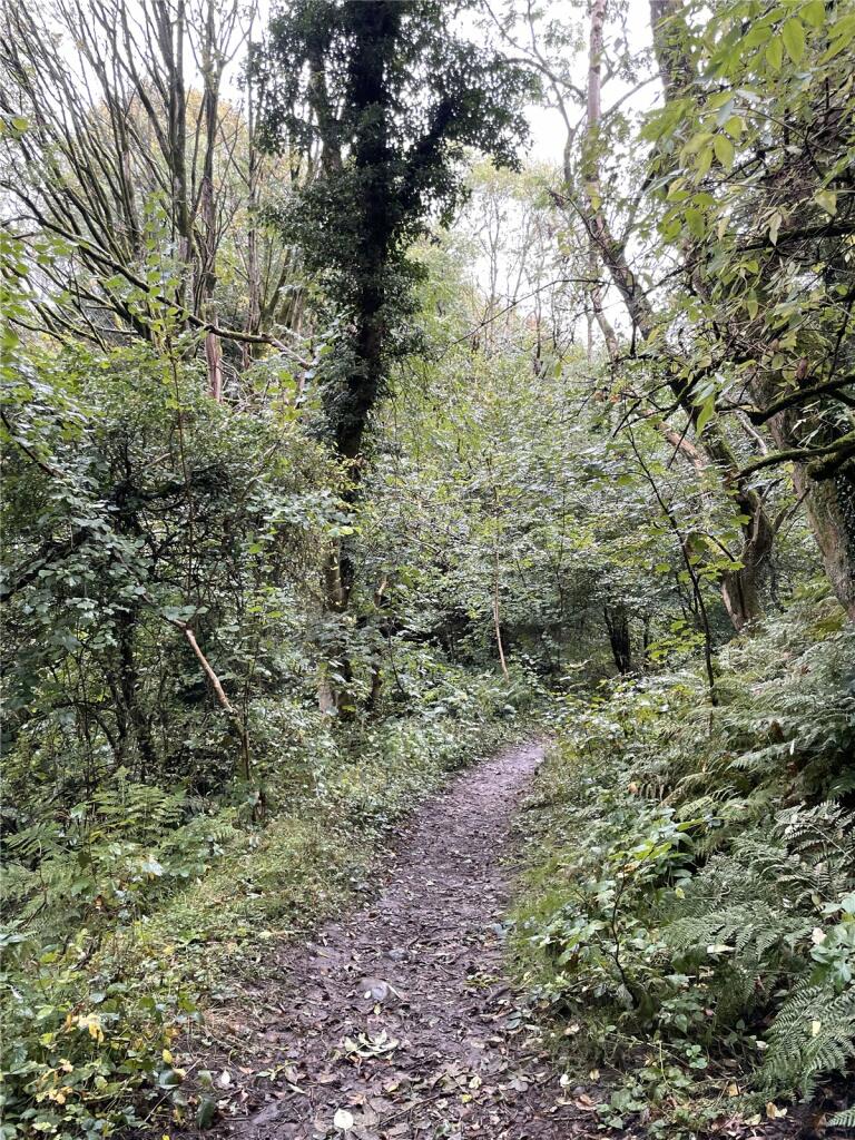 Additional image 4 of Garley Gill Woodland, Dearham, Maryport, Cumbria, CA15