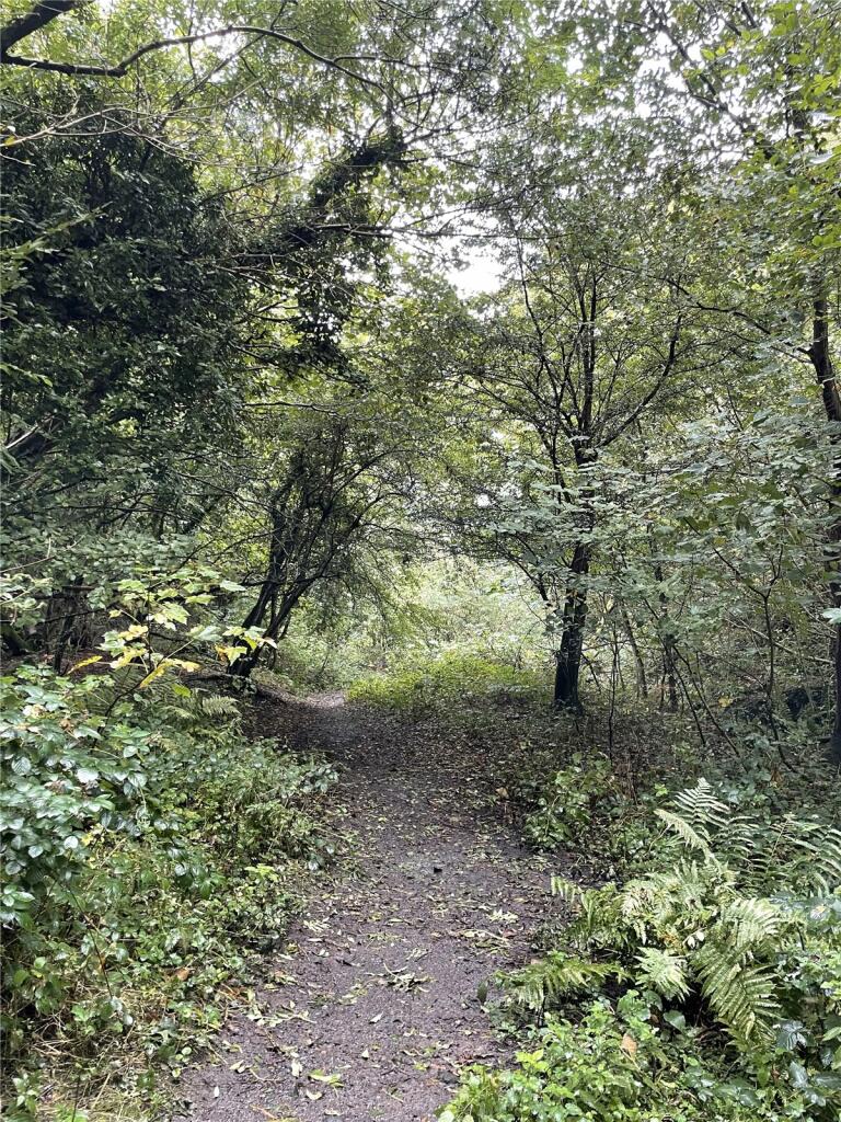 Additional image 7 of Garley Gill Woodland, Dearham, Maryport, Cumbria, CA15