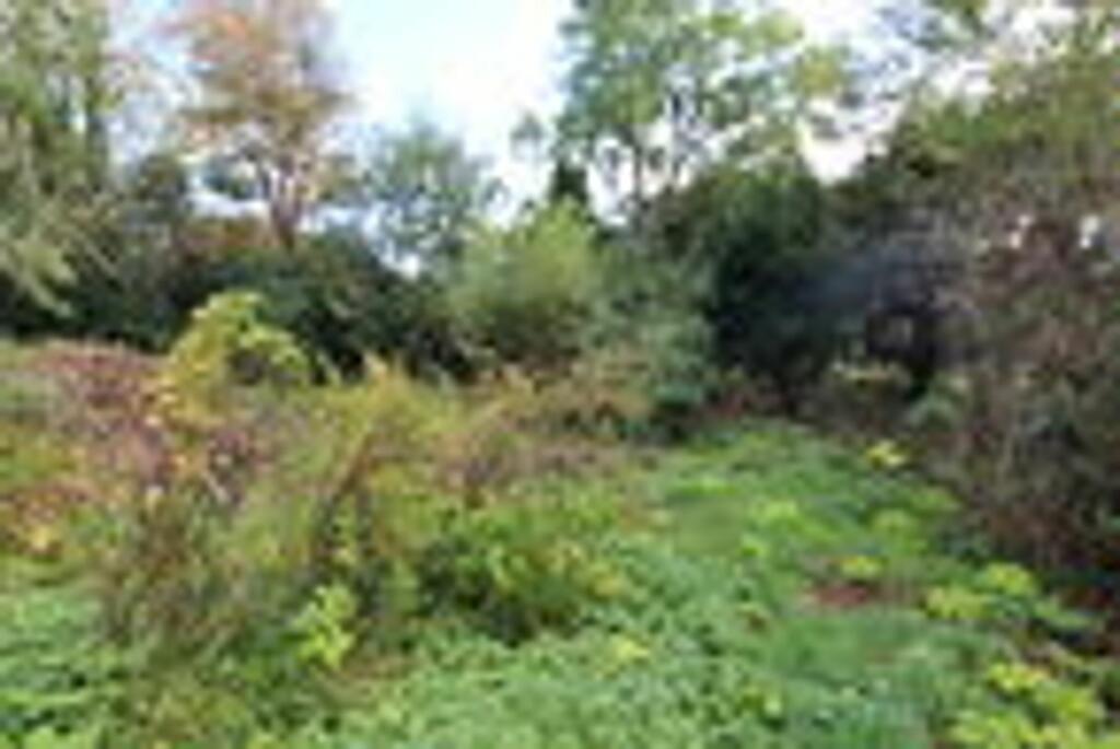 Additional image 6 of Silverstreet, Wrington, BS40