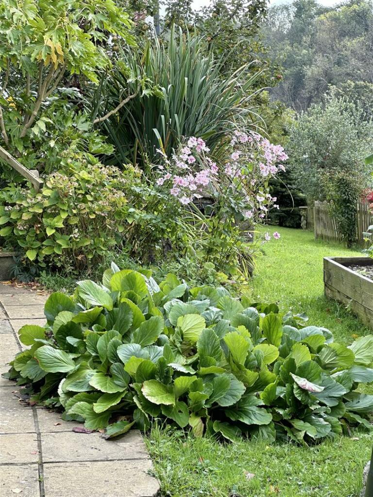 Additional image 55 of Tuttors Hill, Cheddar