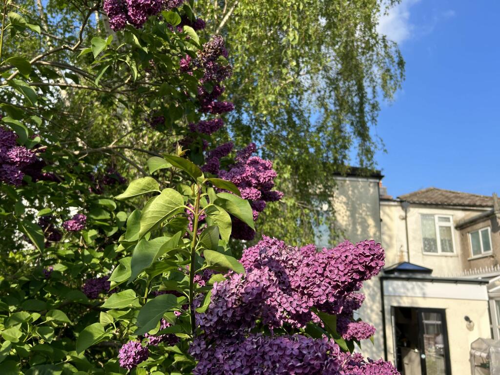 Additional image 33 of Ridgeway Road, Bristol