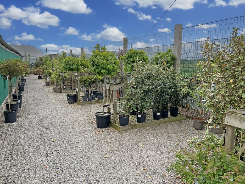 Additional image 18 of The Pot Place Garden Centre, Station Yard
Plumpton, Penrith, Cumbria, CA11 9GT