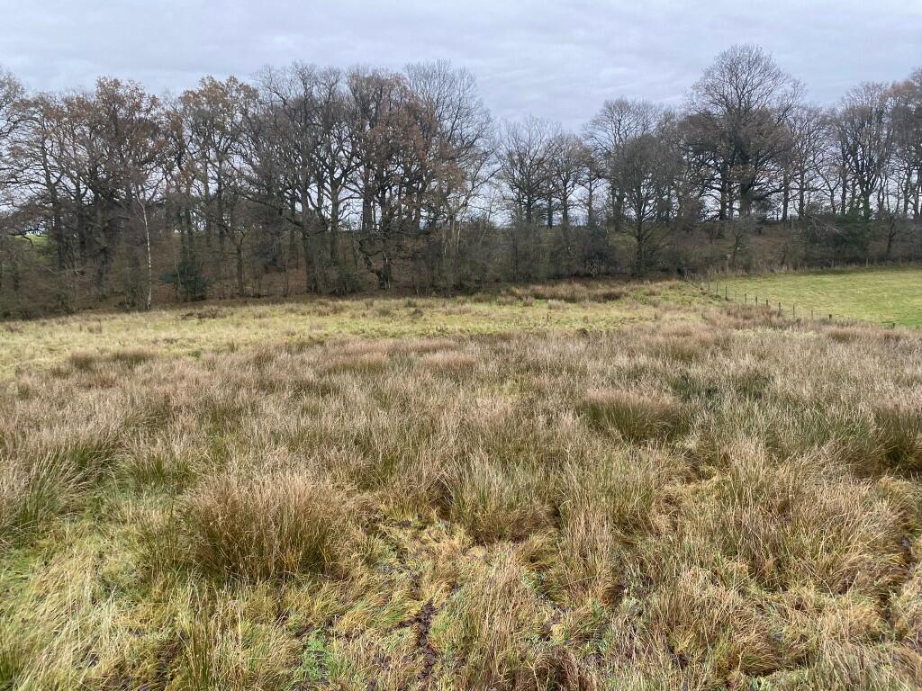 Primary image of Land at Bleatarn, Appleby-in-Westmorland