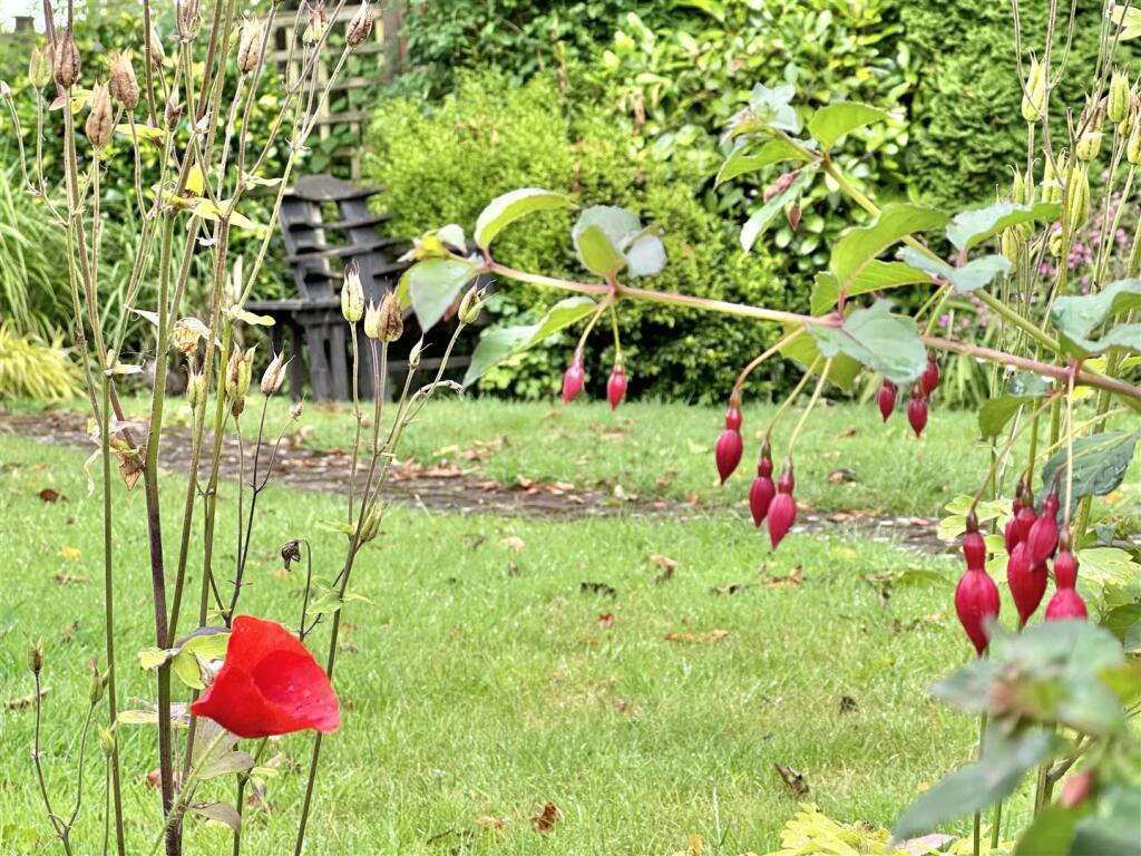 Additional image 25 of Hollow Road, Shipham, Winscombe