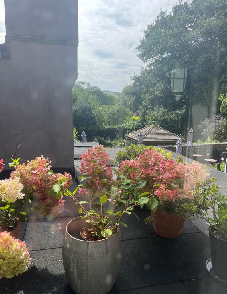 Additional image 20 of West Street, Ditchling