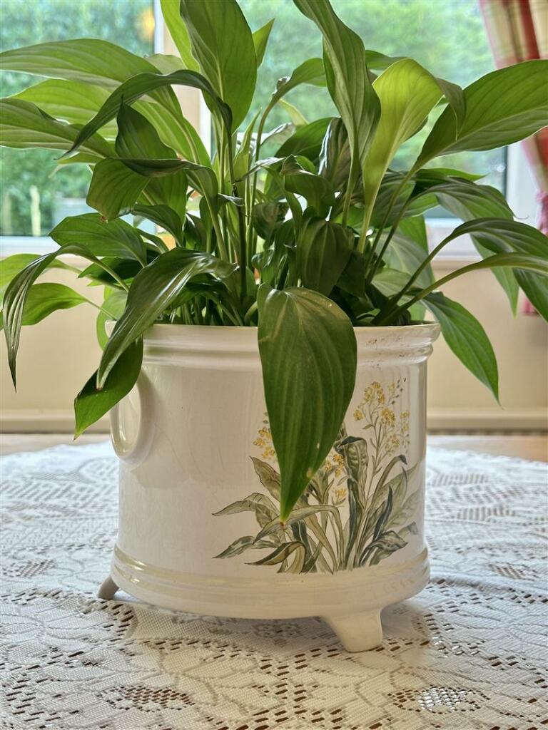 Additional image 12 of Plud Street, Wedmore