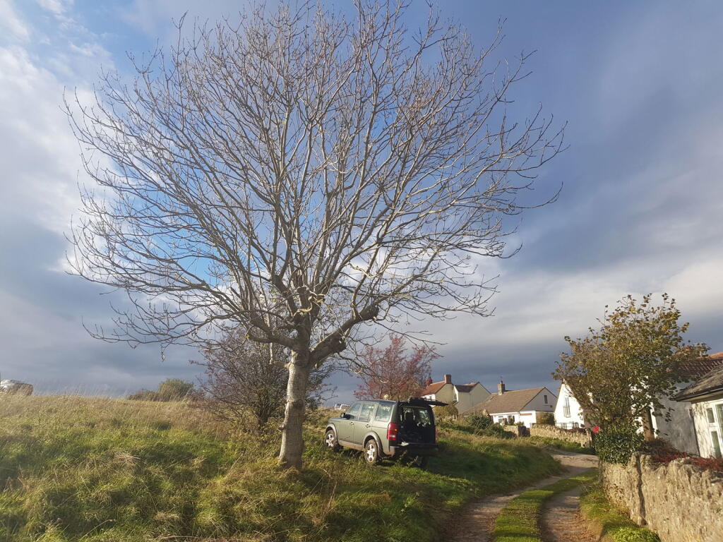 Additional image 3 of Felton Common, Felton