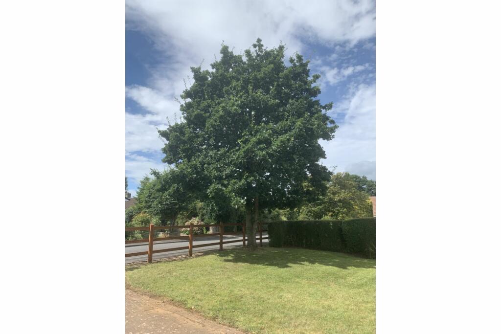 Additional image 33 of Hill Drive, Bristol, BS8