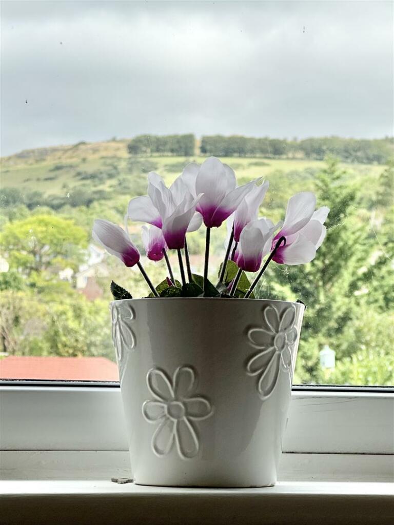 Additional image 30 of Mendip Lea Close, Draycott