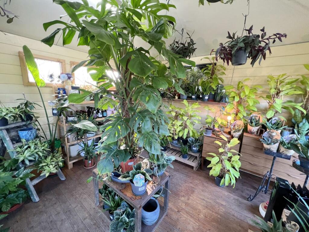 Additional image 3 of Middlecombe Nursery, Wrington Road, Congresbury, Bristol, BS49 5AN