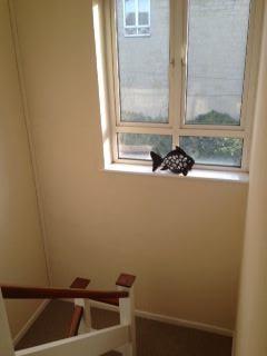 Additional image 16 of Shellard Road, Filton, Bristol