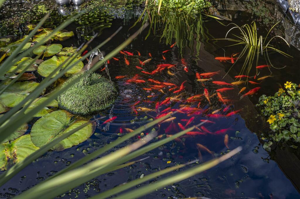 Additional image 34 of Beresford Road, Newhaven