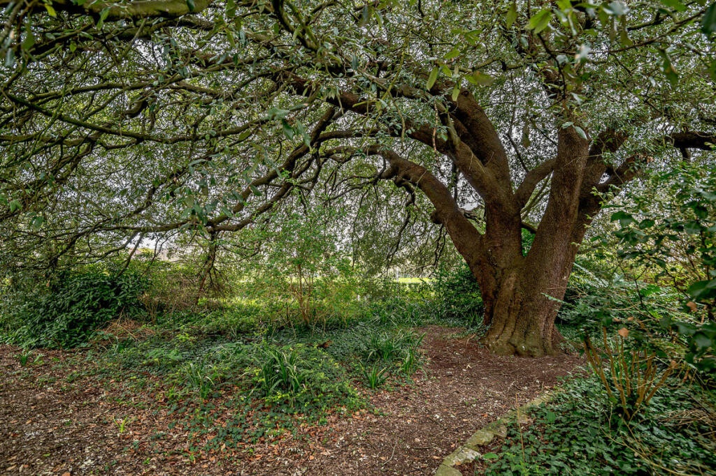 Additional image 29 of Mayors Road, North Somerset, BS49