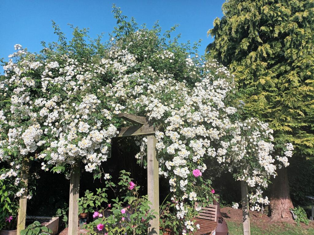 Additional image 46 of Burrells, Appleby-In-Westmorland, CA16