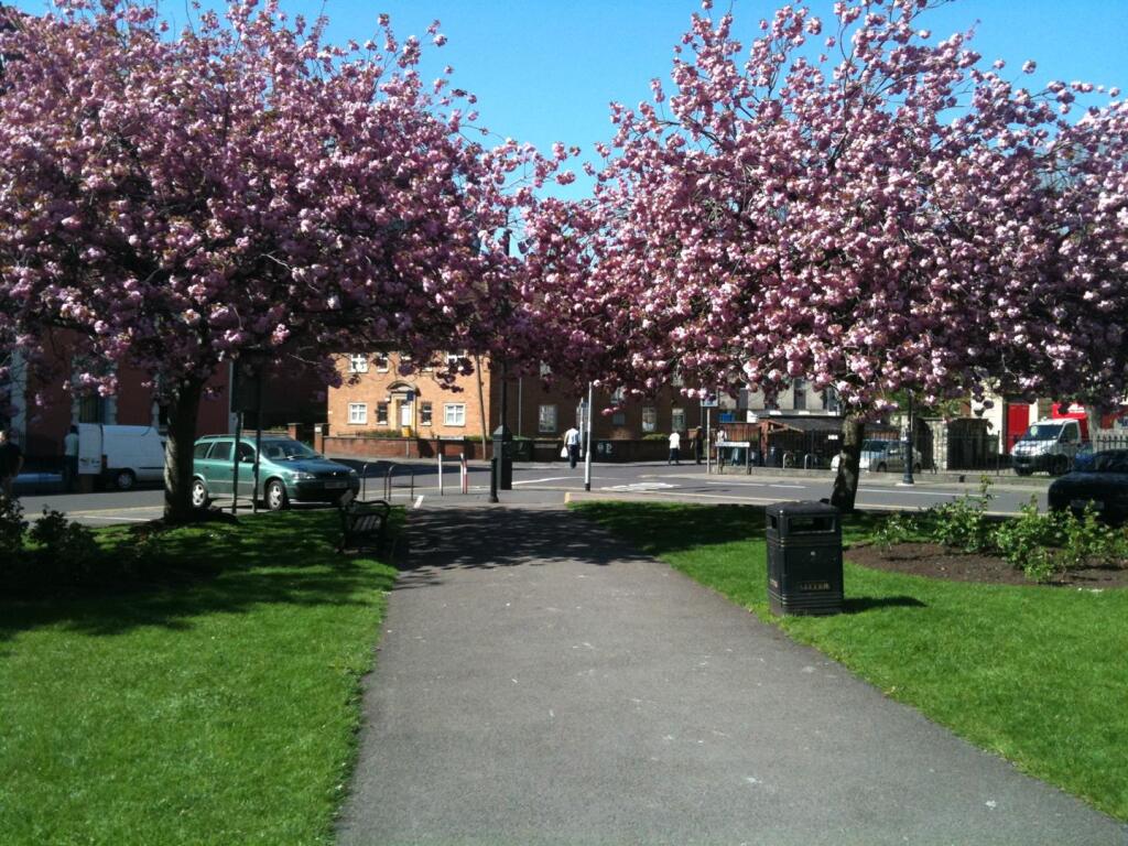 Additional image 9 of Cumberland Street, Bristol