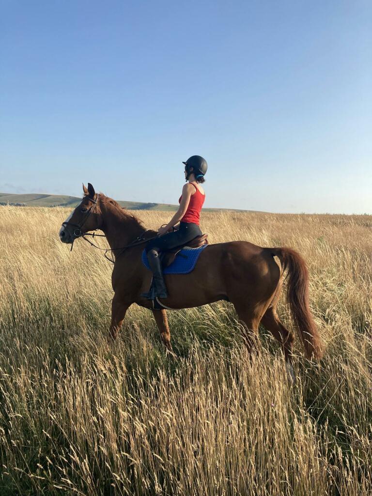 Additional image 13 of Land Parcels, The Old Racecourse, Lewes, BN7 1UR