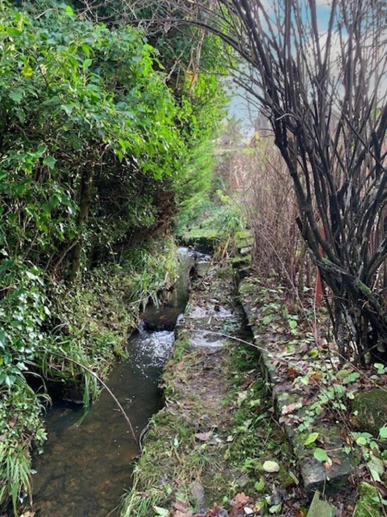 Additional image 24 of Shirleys, Ditchling