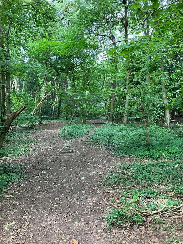 Additional image 4 of Woodland at Tower House Lane, BS48
