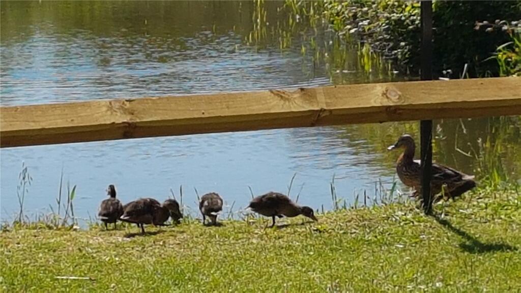 Additional image 21 of Valley Road, Newhaven, East Sussex, BN9