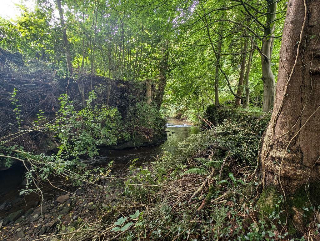 Additional image 22 of The Dene, Hurst Green, Clitheroe, Lancashire, BB7 9QF