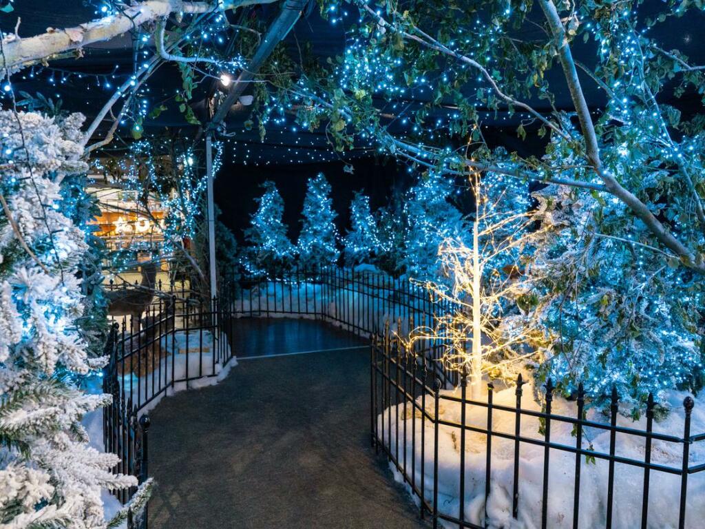 Additional image 30 of Whitehall Garden Centre, Norton Lane, Bristol, Somerset, BS14 0BT