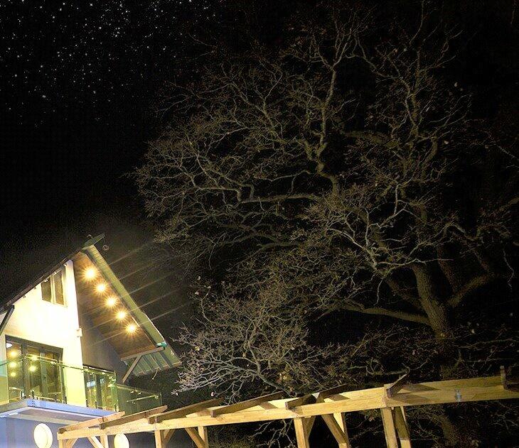 Additional image 23 of Arbutus Drive, Bristol, Somerset, BS9