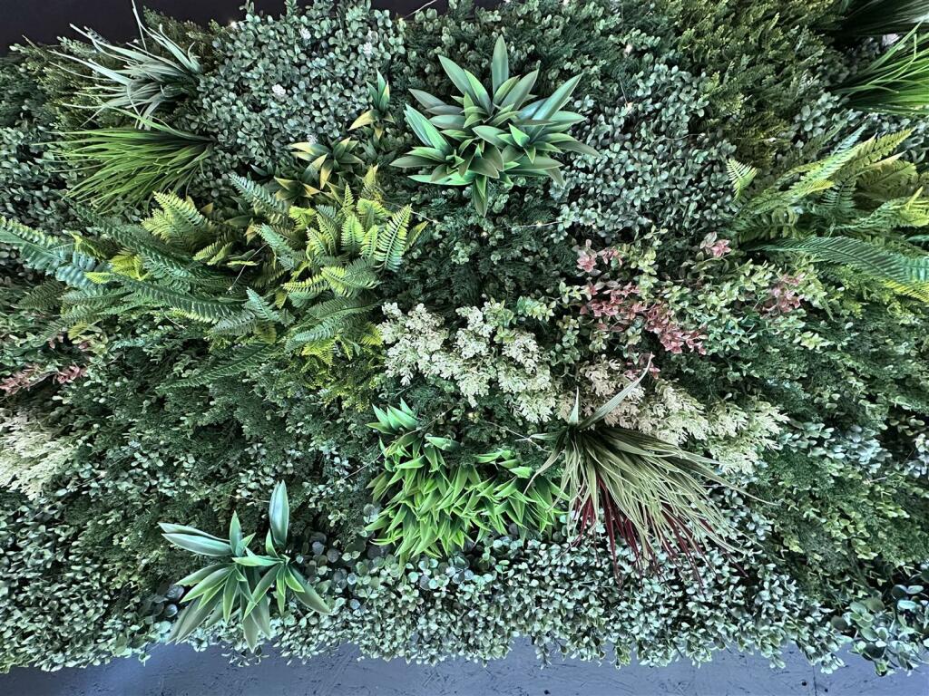 Additional image 78 of 54 St. Andrews Road, Cheddar