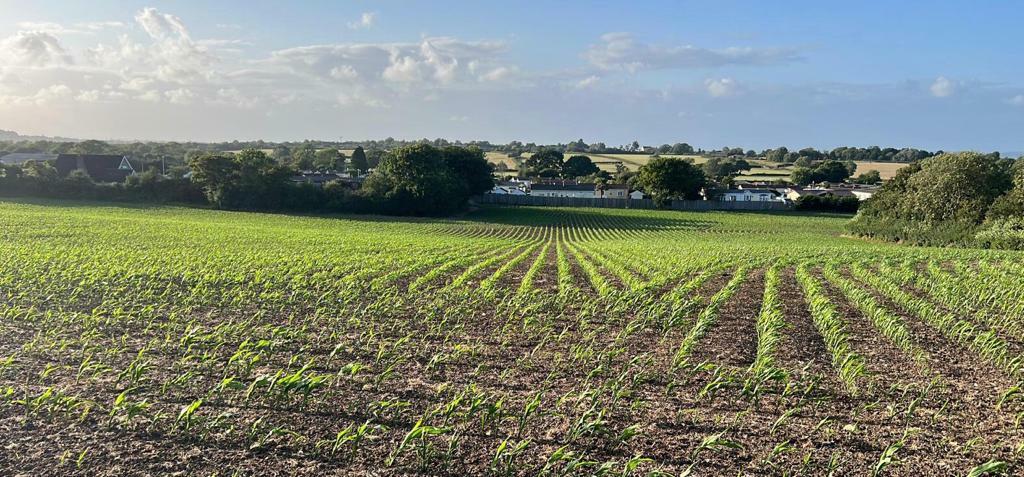Additional image 7 of Deer Leap Farm, Knightcott, Banwell, North Somerset, BS29
