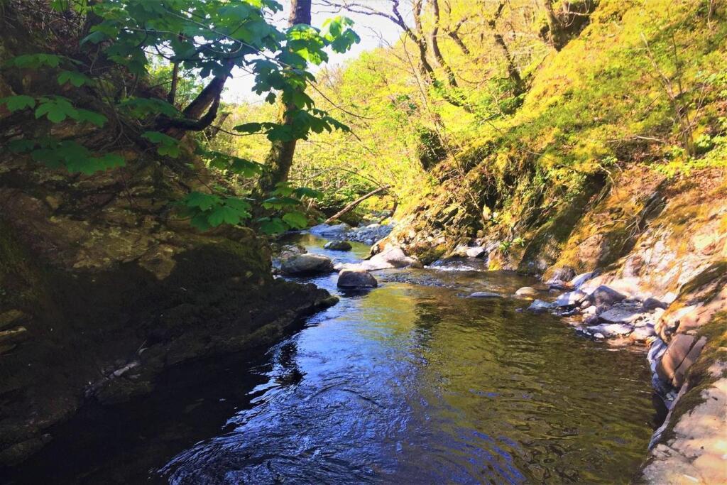 Additional image 6 of High Close Holiday Home Park , Bassenthwaite, CA12