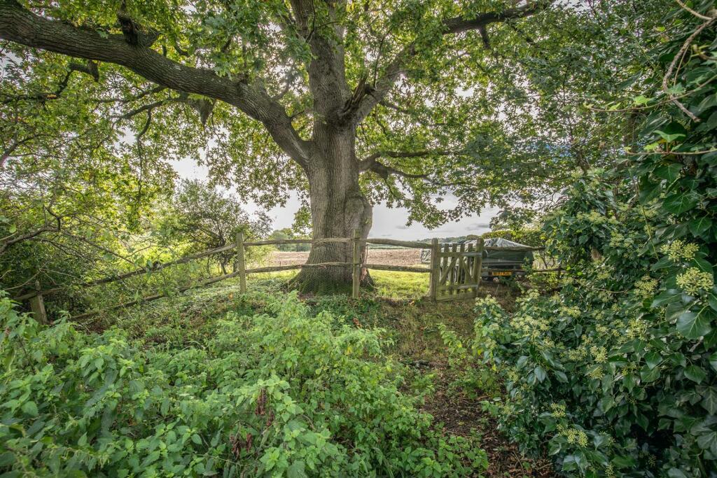 Additional image 31 of Uckfield Road, Ringmer