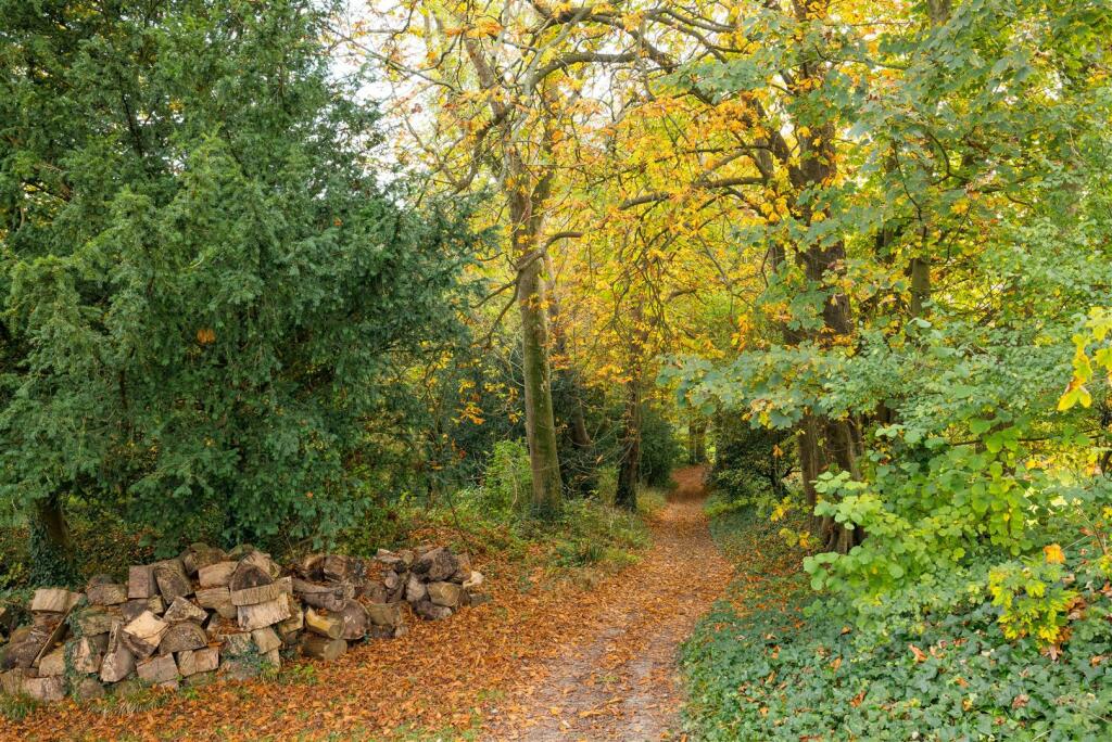 Additional image 36 of Ranscombe Lane, Glynde