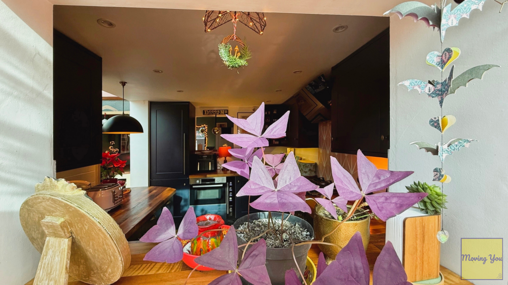 Additional image 25 of Montrose Park, Brislington, Bristol, BS4 4JF