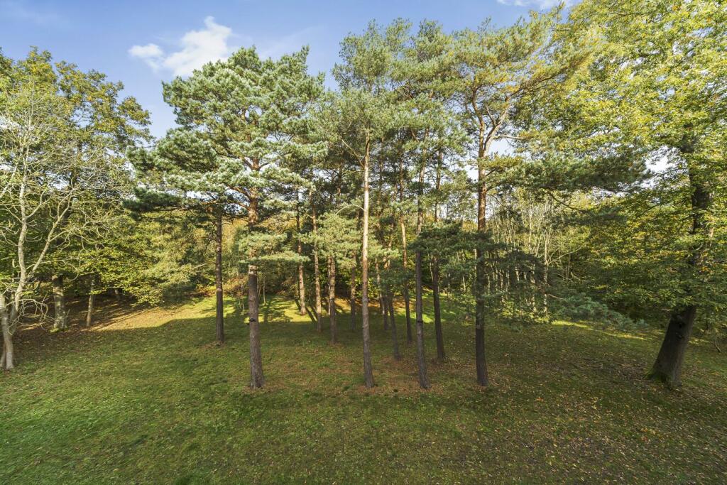 Additional image 16 of Westerham, Road