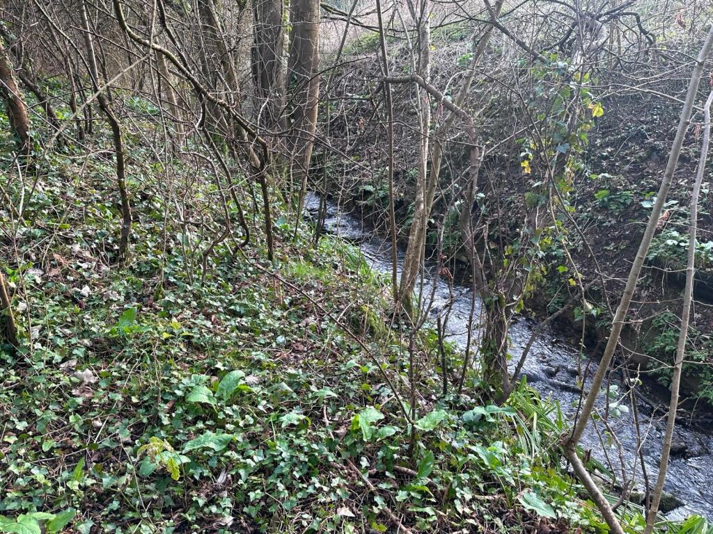 Additional image 8 of Barn with permission to convert and land at Queen Charlton