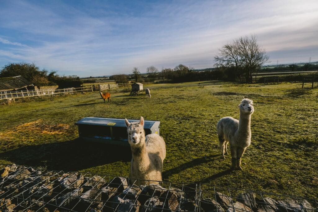 Additional image 20 of The Hay Barn, Tockington Park Lane, Almondsbury, Bristol
